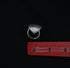 Pure Silver Snake 13g